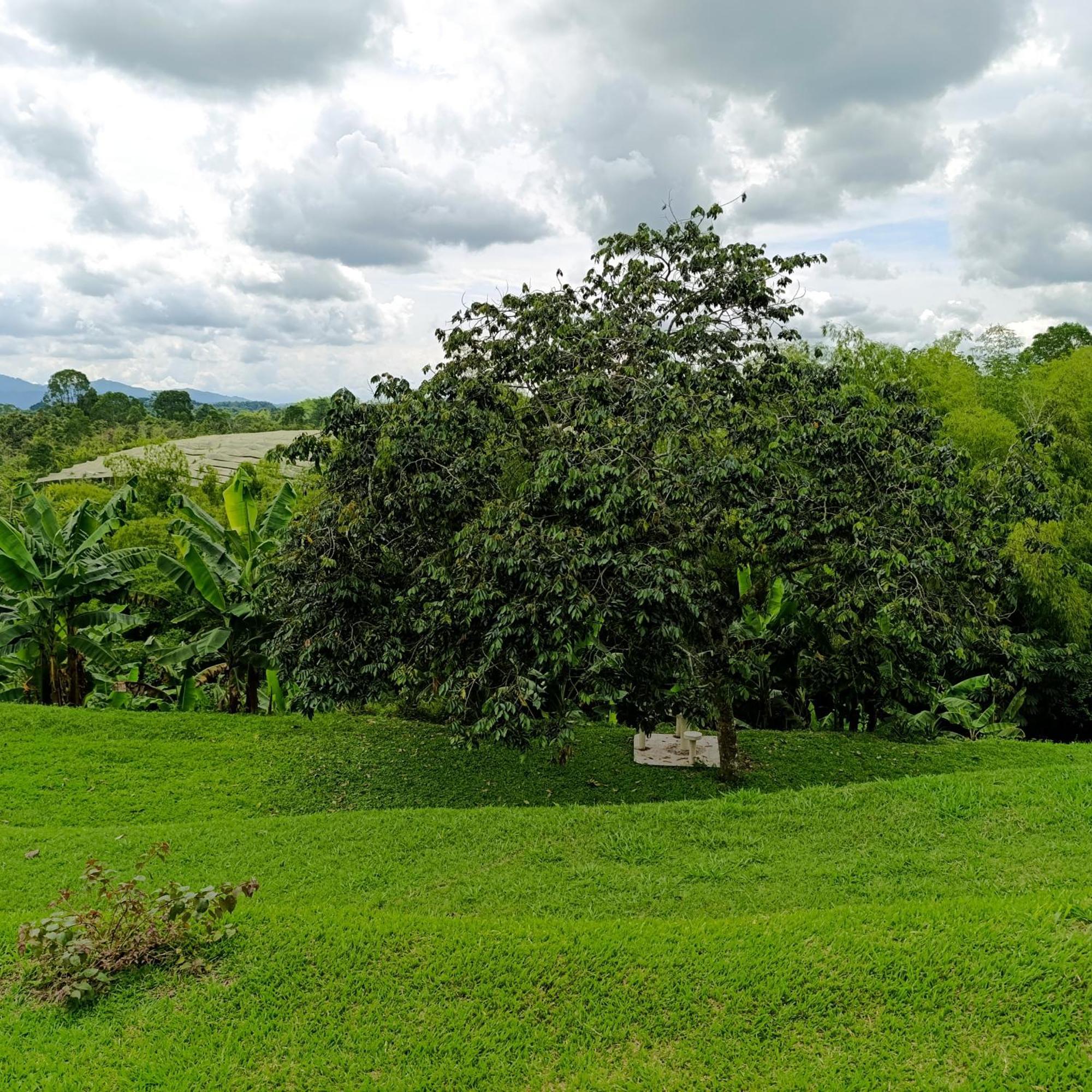 Hotel Campestre Los Mangos Quimbaya Exteriér fotografie